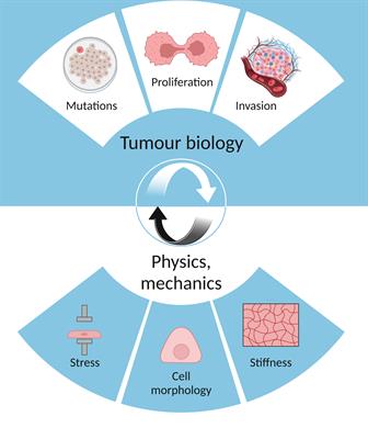 The role of physics in multiomics and cancer evolution